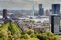 Die Erasmusbrücke Rotterdam von Menno Schaefer Miniaturansicht