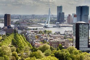 Le pont Erasmus de Rotterdam