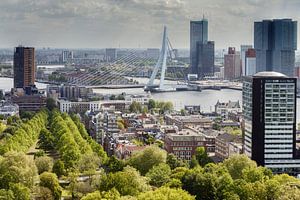 De Erasmusbrug Rotterdam van Menno Schaefer