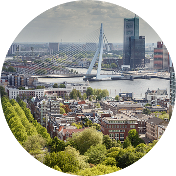 De Erasmusbrug Rotterdam van Menno Schaefer