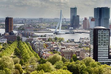 De Erasmusbrug Rotterdam von Menno Schaefer
