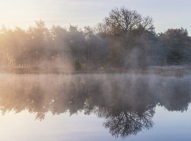 Sunrise Dwingelderveld - The Netherlands (Drenthe) by Marcel Kerdijk