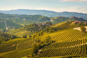 Die Landschaft der Langhe-Weinberge und das Dorf Castiglione Falletto