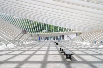 Gare des Guillemins / Station Luik van Tim Vlielander