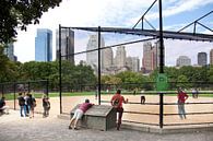 Baseball sur la grande pelouse de Central Park, Manhattan, New York. par Arie Storm Aperçu