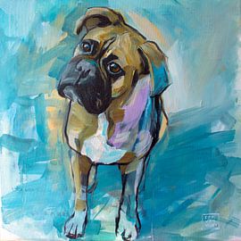 farbenfroher Boxer von Ron van Vliet