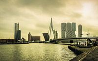 Erasmus Bridge