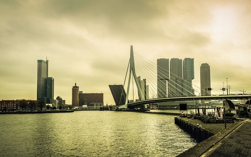 Erasmus Bridge by Paquita Six