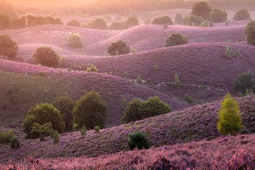 Nationaal Park Veluwezoom