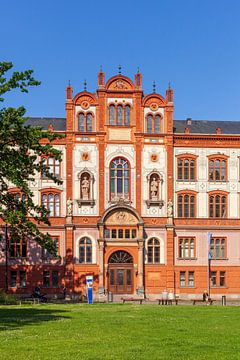 Universiteit, Rostock van Torsten Krüger