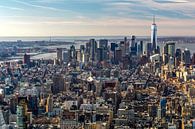 Uitzicht over Manhattan, New York City van Jasper den Boer thumbnail