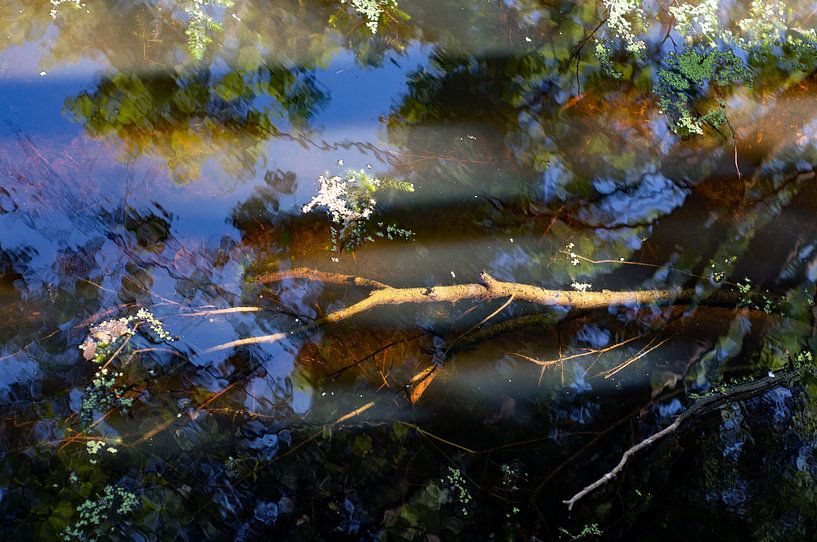 waterspiegeling in september, Gaasperpark (3) par Anne Hana