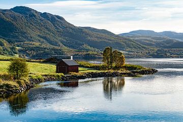 Robuer in Noorwegen aan het fjord van Kai Müller