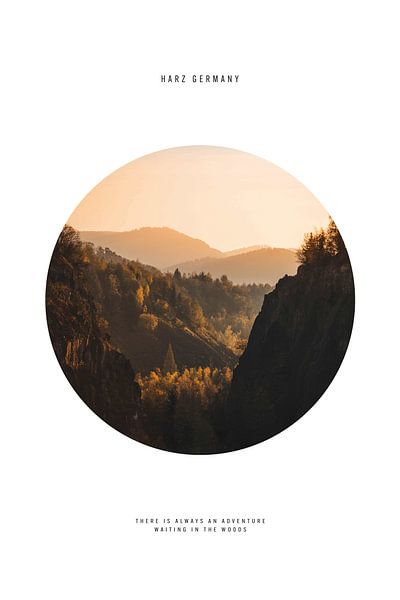 Herbstwald Harz von Walljar