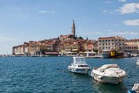 Haven Port of Rovinj Istrië  in Kroatië.