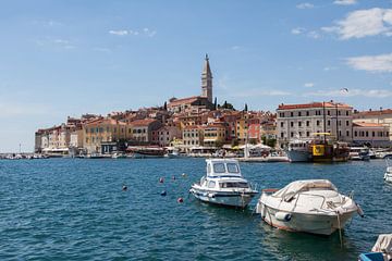 Haven Port of Rovinj Istrië  in Kroatië.