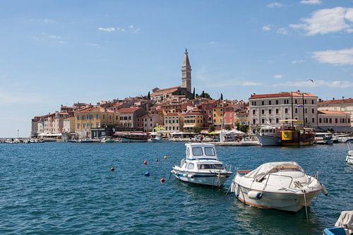 Port of Rovinj Istria in Croatia.