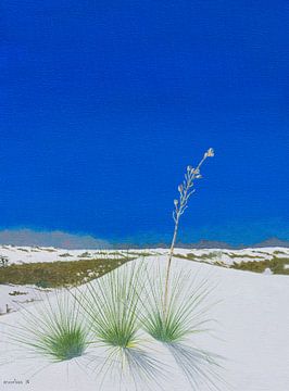 White Sands National Monument, New Mexico, USA. Acryl schilderij van Marlies Huijzer van Martin Stevens