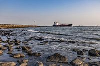 Vlissingen Schelde