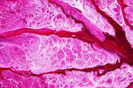 Veins / Veins / Fens / Veins by Joke Gorter