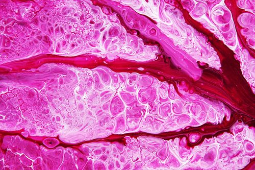 Abstract pink/Pink abstract/Abstraktes Rosa/ Rose abstrait