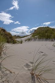 Dune by Thomas Heitz