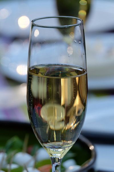 Glas bubbles by Myrte Wilms