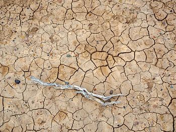 Natürliche Zusammensetzung des Verwelkens