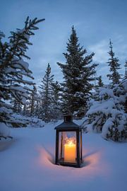 Winterachtig lichtspel van Poster Art Shop