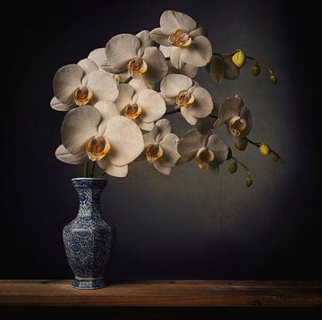 Blumenstillleben Weiße Orchidee von Petri Vermunt