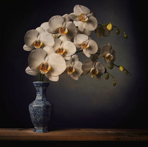 Nature morte de fleurs Orchidée blanche sur Petri Vermunt