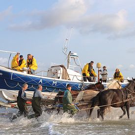 Horse rescue boat Ameland by Rinnie Wijnstra (FotoAmeland )