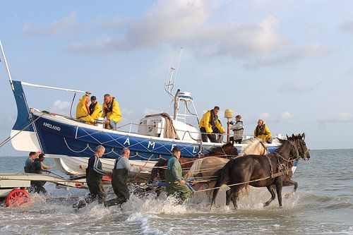 Horse rescue boat Ameland by Rinnie Wijnstra (FotoAmeland )