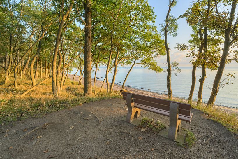 Rastbank an der Steilküste Katharinenhof auf Fehmarn von Michael Valjak