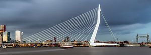 Belle et impressionnante ligne d'horizon de Rotterdam