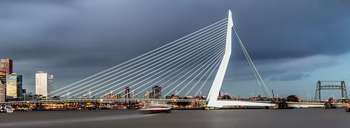 Belle et impressionnante ligne d'horizon de Rotterdam