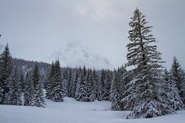 Lermoos Austria by Jeroen Meeuwsen