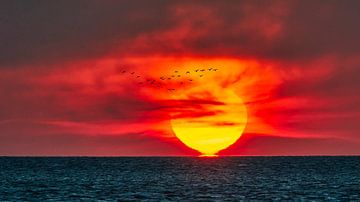 Zonsopkomst boven de Waddenzee van eric van der eijk