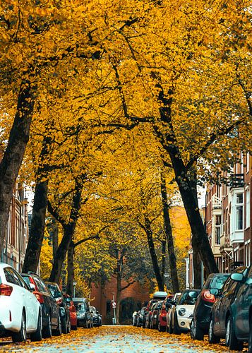 Herst in de H.W. Mesdagstraat Groningen