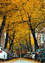 Herst in de H.W. Mesdagstraat Groningen van Stadspronk thumbnail
