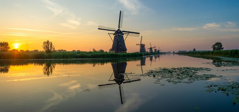 Kinderdijk, Zuid-Holland par Domenique van der Horst