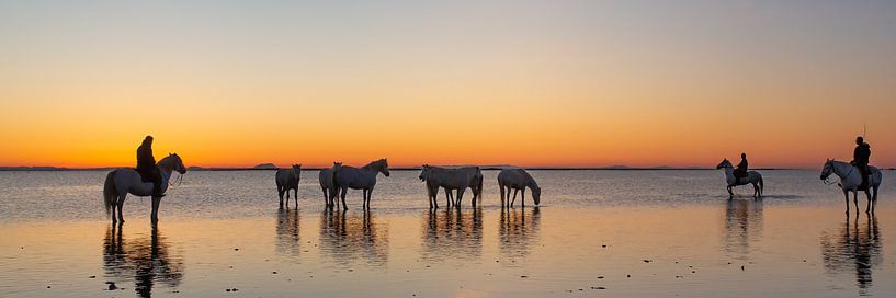 Camargue horses in the lake with their cowboys (Gardians) by Kris Hermans