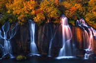 Hraunfossar IJsland par Miranda Bos Aperçu