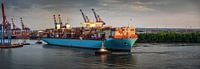 Groot containerschip met sleepboten in de haven