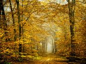 Wald des Goldes von Lars van de Goor Miniaturansicht