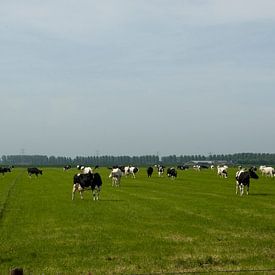 Landschap met koeien van Mooi-foto van Well