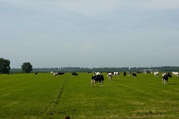 Landschap met koeien van Mooi-foto van Well