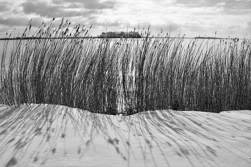 Winter beach Veluwemeer by On The Road Foto