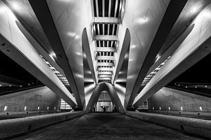 City of Arts and Sciences (Valencia)  van Bert Meijer