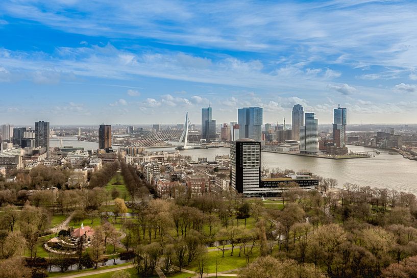 Skyline Rotterdam by Danny van Vessem